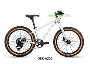 Quality Alu Alloy Kids BMX Bike 20 Inches with Shimano 9 Speed Hydraulic Disc Brake wholesale