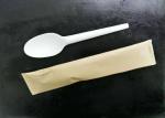 Compostable Disposable Spoon 165mm CPLA Cutlery
