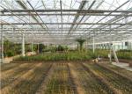 Commercial Glass Greenhouse , Hydroponic Greenhouse With Climate Control System