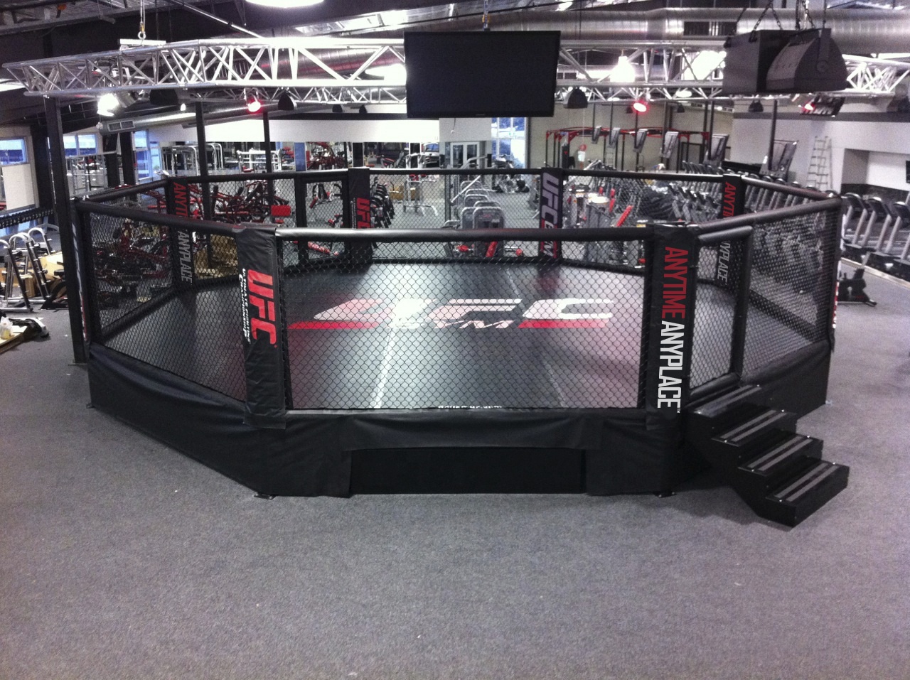6x6m Professional MMA Training Cage Customized Logo UFC Octagon Ring