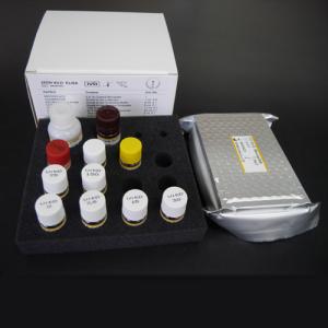 Quality 25 Oh Vit D Elisa Diagnostic Kit Trustworthy wholesale