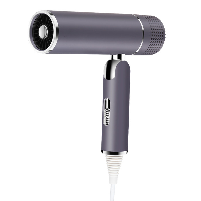 Negative Ions High Speed Hair Dryer Professional With Diffuser