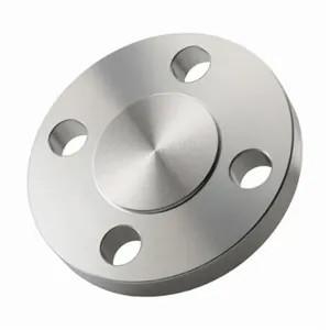 Blind Flange Plate 300# ANSI Raised Face RF 304L Stainless Steel 304 Flange