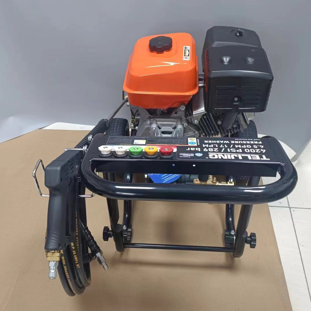 High Pressure Cleaner 3800PSI/262Bar Gasoline Portable Car Washing Machine 190F 420cc Detergent Tank 1.1