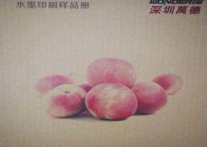 Quality Corrugated Box Industrial Digital Printing Machine Save Time WDR200-44A wholesale