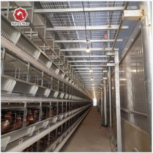 Quality H Type Battery Chicken Farming Cage Chicken Farming Cage Automatic wholesale