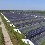 30 Days Return Refunds Double Layer PE/Po Plastic Film Photovoltaic Solar