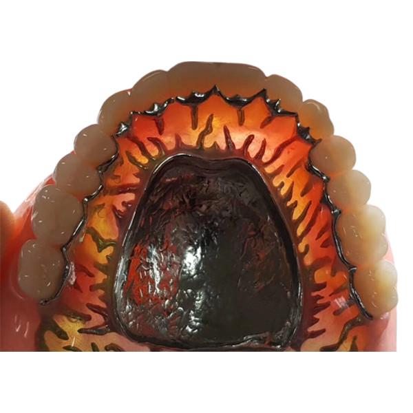 Cheap Full Removable FDA 3014652903 Composite Resin Crown Denture Teeth for sale