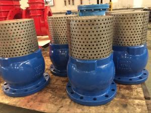 Quality ANSI foot valve flanged ends wholesale