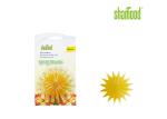 Plastic Air Freshener Scented Starfish with Stick in Car & Home Windows ​