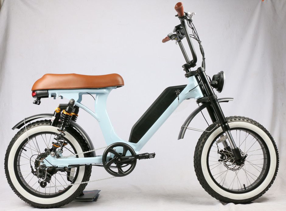 48V 500W 2022 Electric Fat Tire Bike, new design, fat tire, powerful 8 fun motor, both suspension