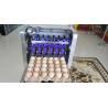 Buy cheap Two Meter Long Conveyor Egg Printing Machine / Egg Stamping Equipment from wholesalers