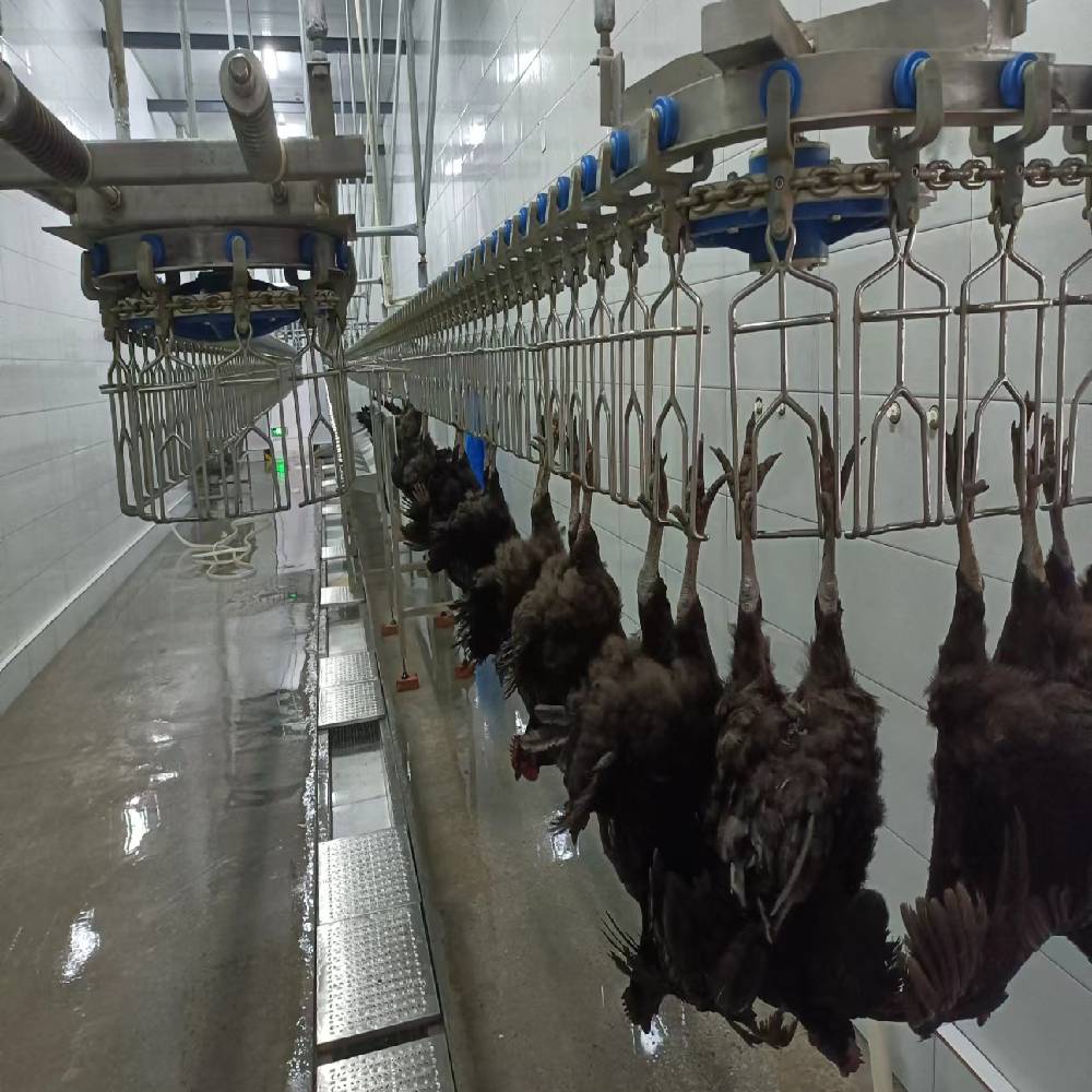 Streamlined Semi Auto Slaughter Machine Small Scale Poultry Processing Equipment