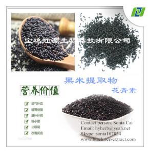Quality Nautral Black Rice Extract C3G 5% by HPLC wholesale