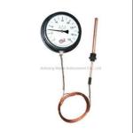TG-021 Capillary Pressure thermometers