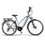700W Electric City Bicycles 7 Speed Hydraulic Disc Brake