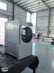 Mini Home Vacuum Freeze Drying Machine 1Kg 2Kg 3Kg 4Kg