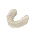 Safety Durable Opposite Jaw Model Resin