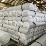 5000g-9000g Weight Bentonite Material Waterproof Membrane for Landfill
