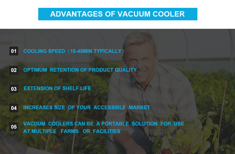 10 Pallets Vacuum Cooling Machine , Vacuum Cool Chamber For Vegetables