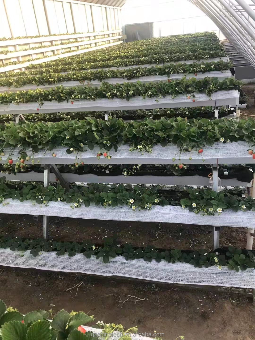 PC Plastic Polycarbonate Sheet Multi Span Hydroponic Greenhouse
