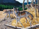 0.6mm PET+157g Coated Paper 3D Lenticular Pictures / 3D Lenticular Wall Art