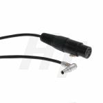 Arri Alexa Mini Audio Video Cable Beachtek DXA-ALEXA DXA-CINE Preamps XLR 5 Pin