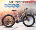 Load 150kg 30 Speed 26 Inch Wheel Fat Tire Sand Bike