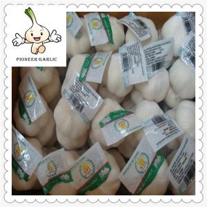 Quality Fresh Garlic Global Foods health against cancer new crop fresh garlic wholesale