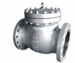 Swing Check Valve