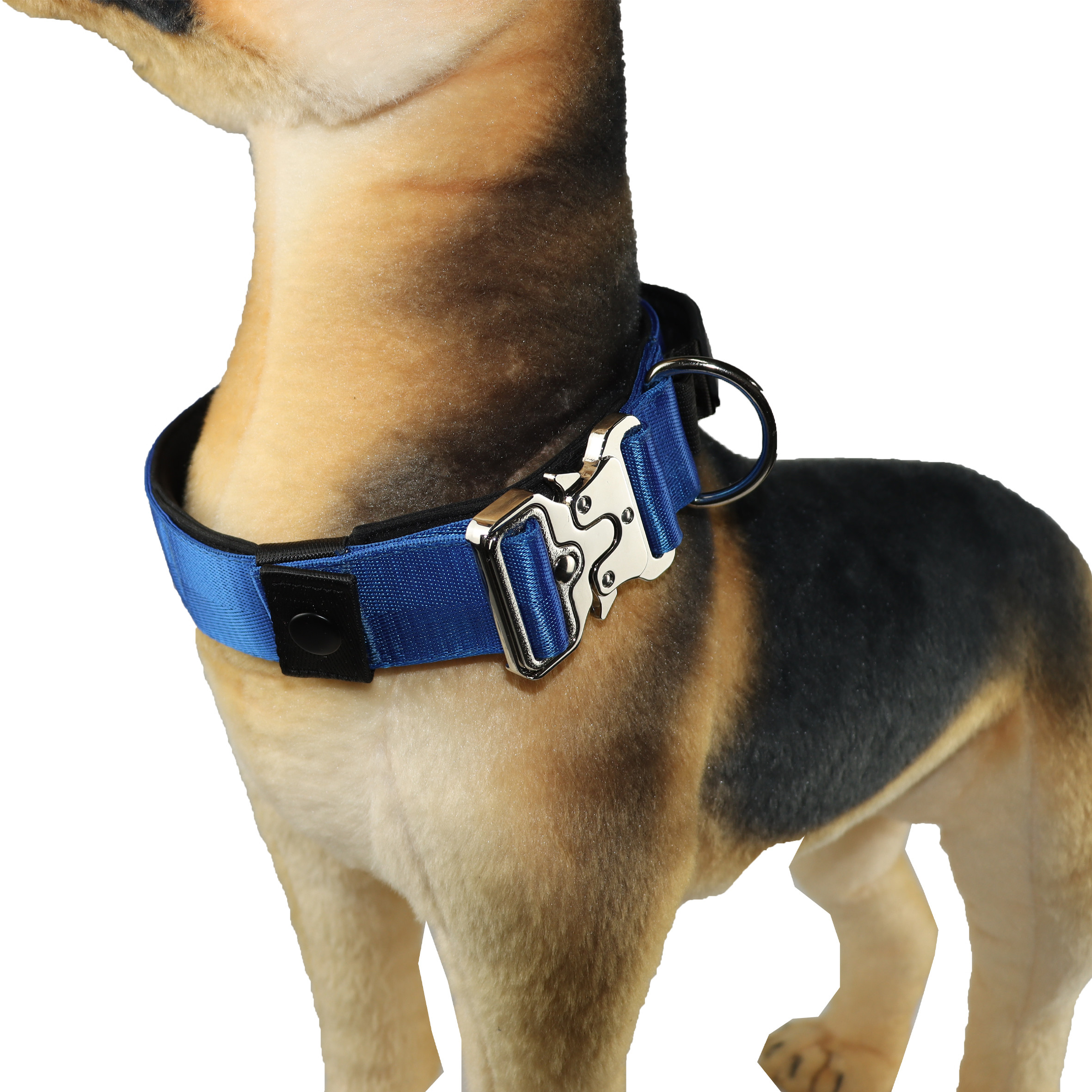 18 16 Inch Climbing Rope Dog Collar Stylish Identification Tag Custom Pet Collar Suppliers