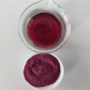 Quality 25% Proanthocyanidins Cranberry Extract Pac wholesale