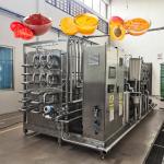 CE Certificated Mango Juice Milk Uht Sterilizing Machine / Plate / Equipment
