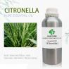 Buy cheap Therapeutic Quality Citronella Pure Essential Oil Leaves Colorless from wholesalers