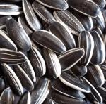 Wholesale Chinese Non GMO High Quality Good Price Roasted Sunflower Kernels