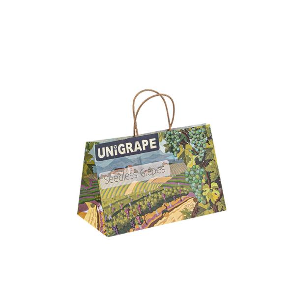 100gsm 150gsm Small Paper Food Bags Sustainable Recyclable With Handle