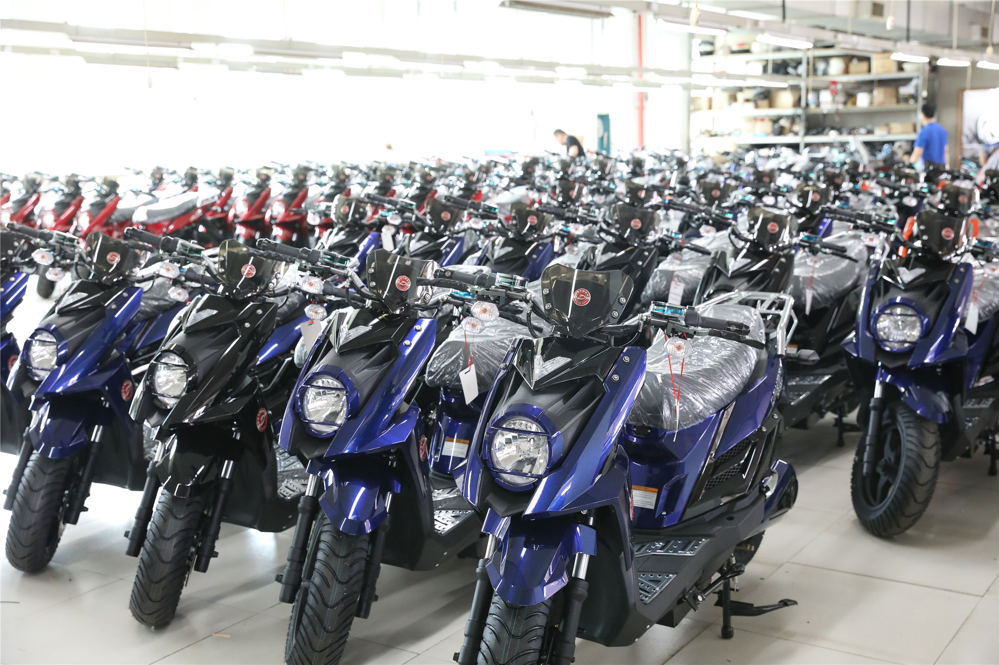 Pedal Assist Electric Scooter Motorcycles 1000W 60V 2 Wheel Electric Mobility Scooter