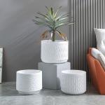 Stunning Plant Display With Fiber Clay Planters Durable And Stylish