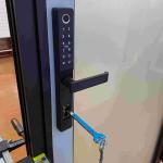 Weather Frosted Aluminium Hinged Doors Smart Electronic Lock Aluminium Pivot