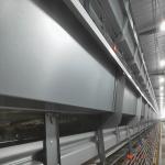 1480x1750x440mm Battery Chicken Cage
