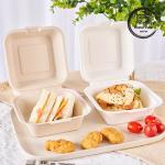9-Inch Sugarcane Bagasse Clamshell Lunch Box Disposable and Biodegradable Food