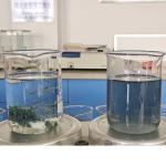 Textile Dye Water Decoloring Agent Color Remove Treatment Bluwat BWD