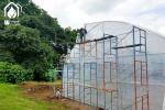 Commercial Tunnel Multi Span Greenhouse High Yield Cultivation Greenhouse