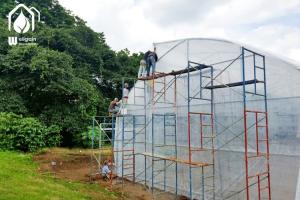 Quality Commercial Tunnel Multi Span Greenhouse High Yield Cultivation Greenhouse wholesale