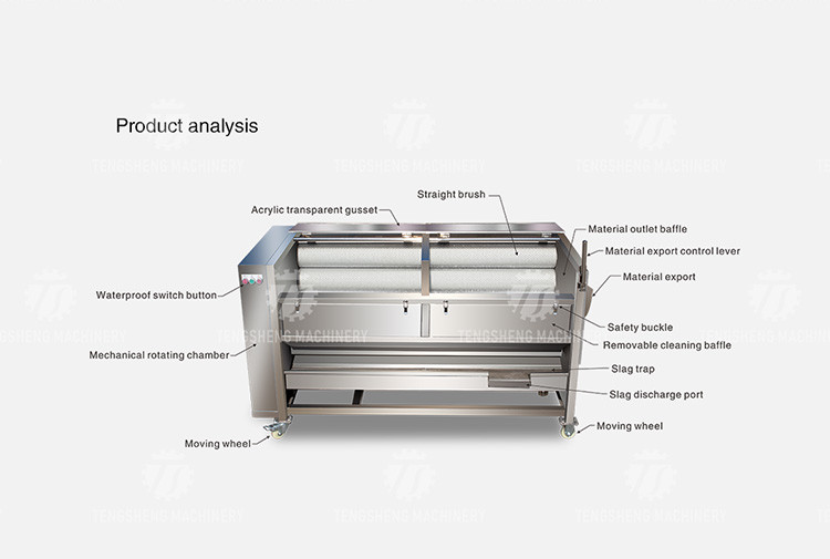 1500KG/H Sweet potato cleaning and peeling machine manufacturers supply brush peeling cleaning machine