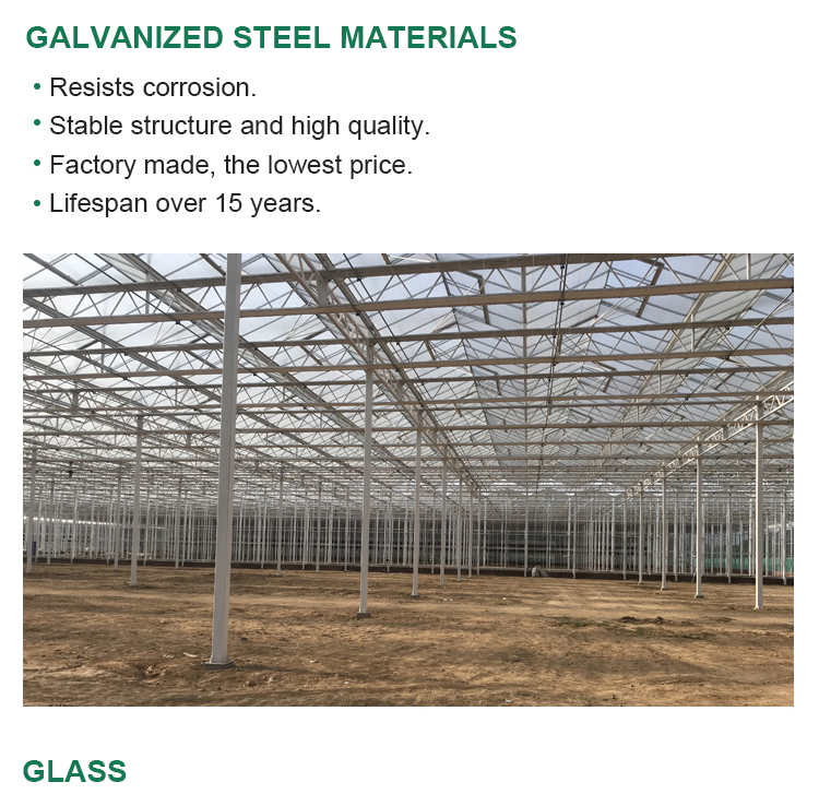 Litai's Greenhouse and Irrigation System The Perfect Solution for Modern Farming