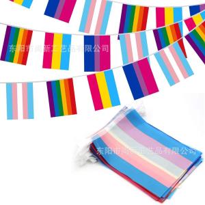 Quality Custom Logo Polyester LGBT Flag Lesbian Gay Pride Triangle Flag wholesale