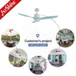 Dimming Light 52 Inches Ceiling Fan Modern 3 Green Blades With DC Motor