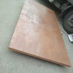 Pure Copper Plate 99.95% Tu2 20*1000*2000mm Red Electrolytic Tough Pitch ETP