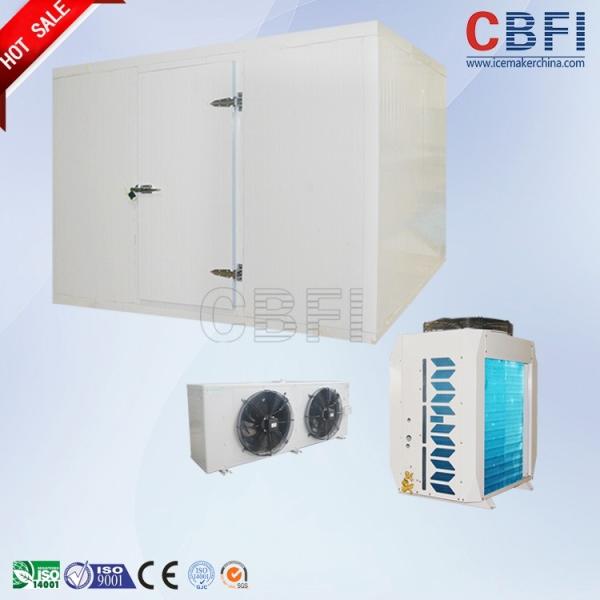 Sliding Door / Swing Door Commercial Walk In Freezer , Laboratory Cold Room
